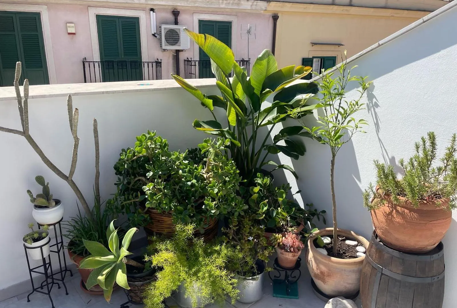 Terrazza Alla Cala Palermo Guest house